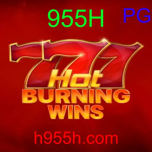 Como ganhar no Dragon Hatch em 955H com Saque via PIX 2026